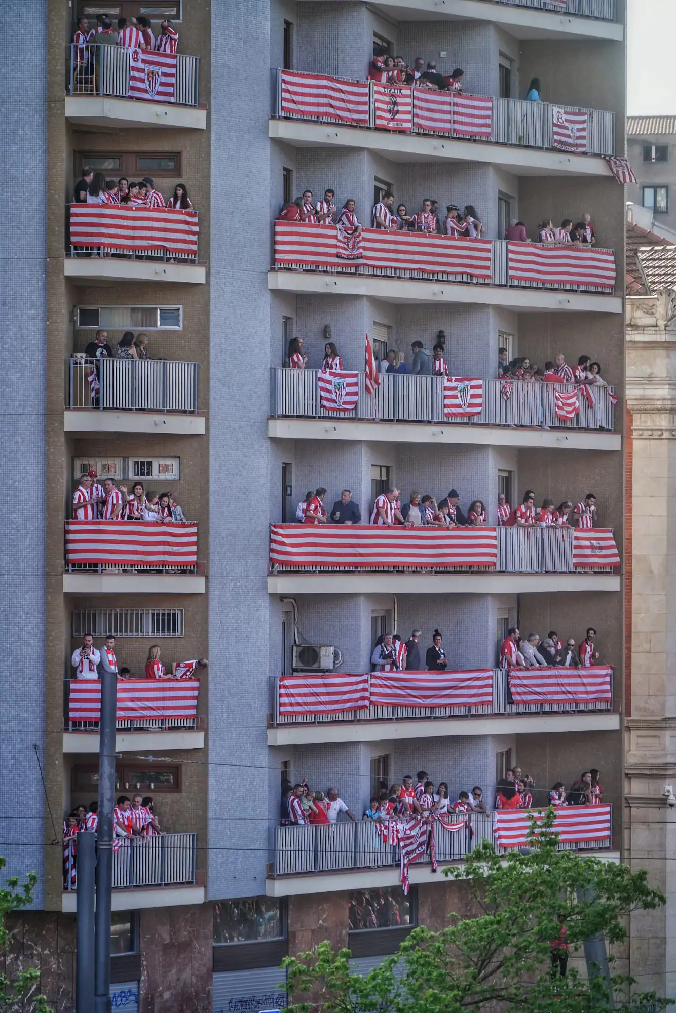 Imagen 7