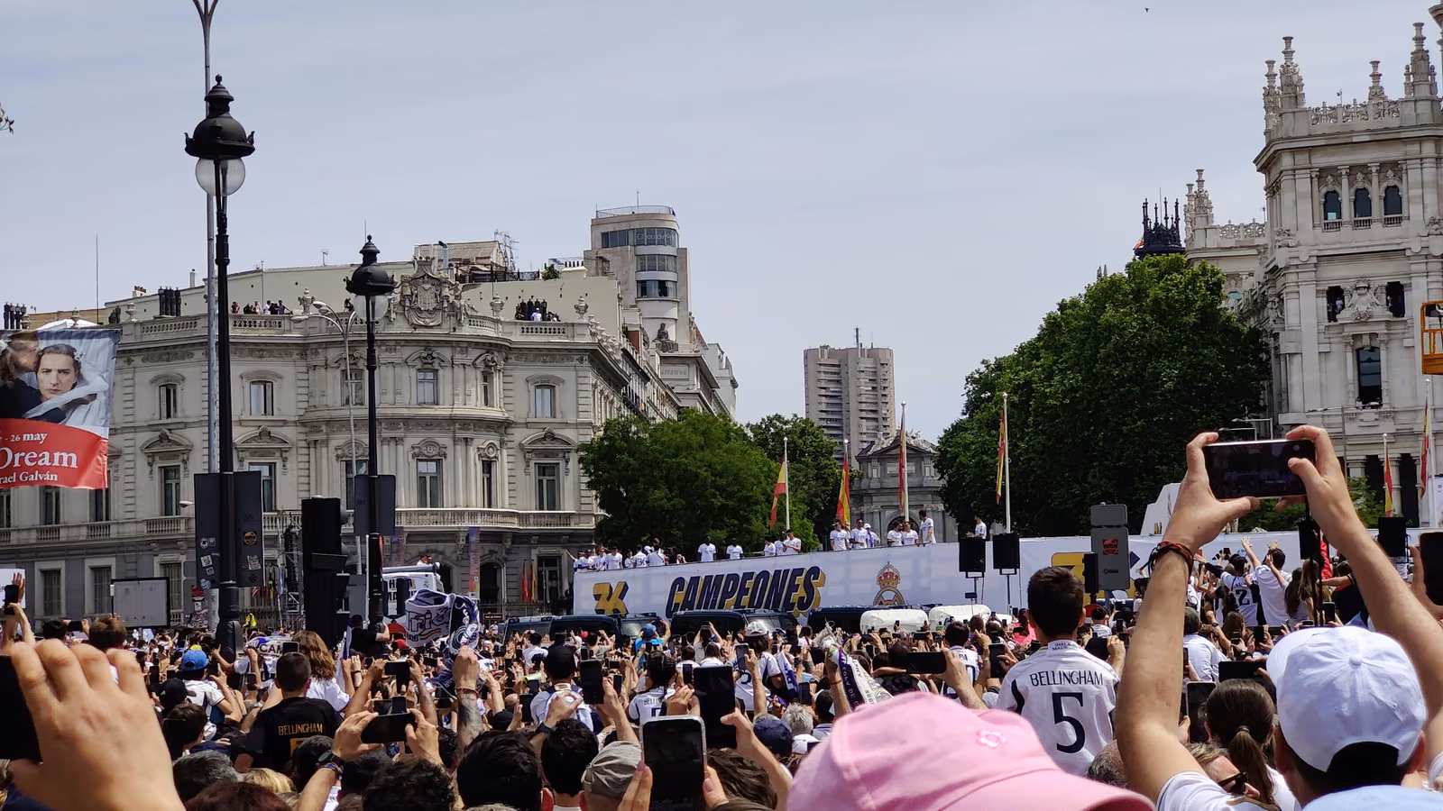 Imagen 11